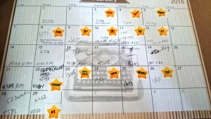 February's writing goals achieved